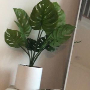 Meet your Posher, Ava